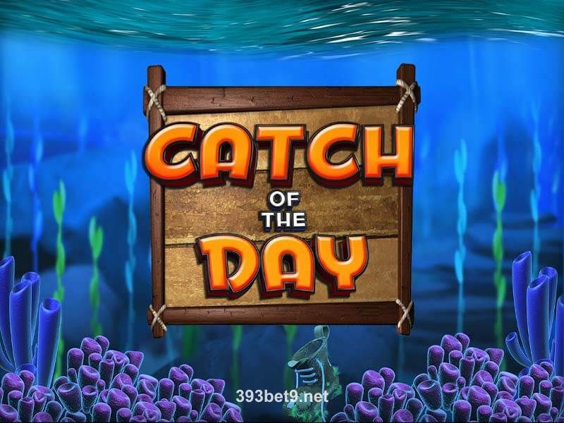 Catch of the Day
